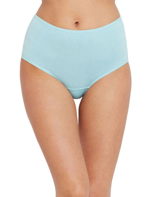 Body Care Maternity Panties